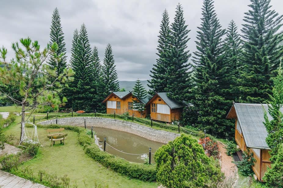 Đạ Lạch Farmstay – Hành trình trải nghiệm thiên nhiên và nông trại độc đáo tại đà lạt